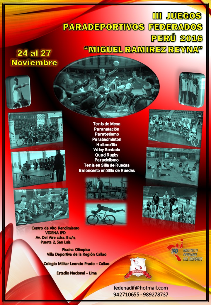 Afiche Paralimpico III