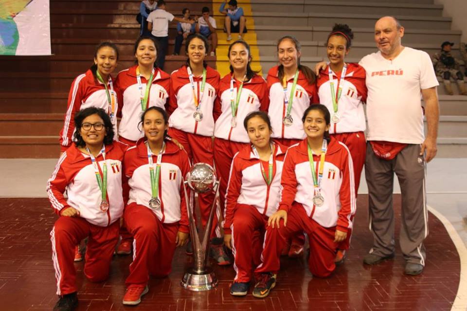 BASKET PLATA