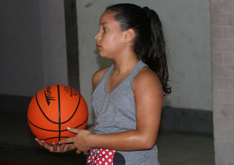Basket Dibos 3