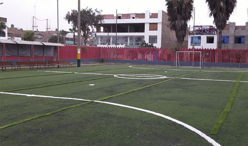 C.D. Los Olivos.jpg