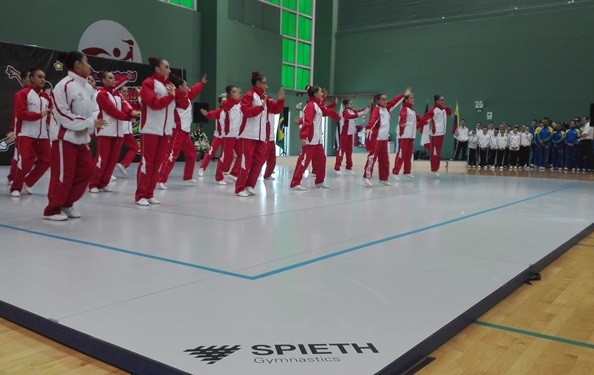 GIMNASIA AEROBICA