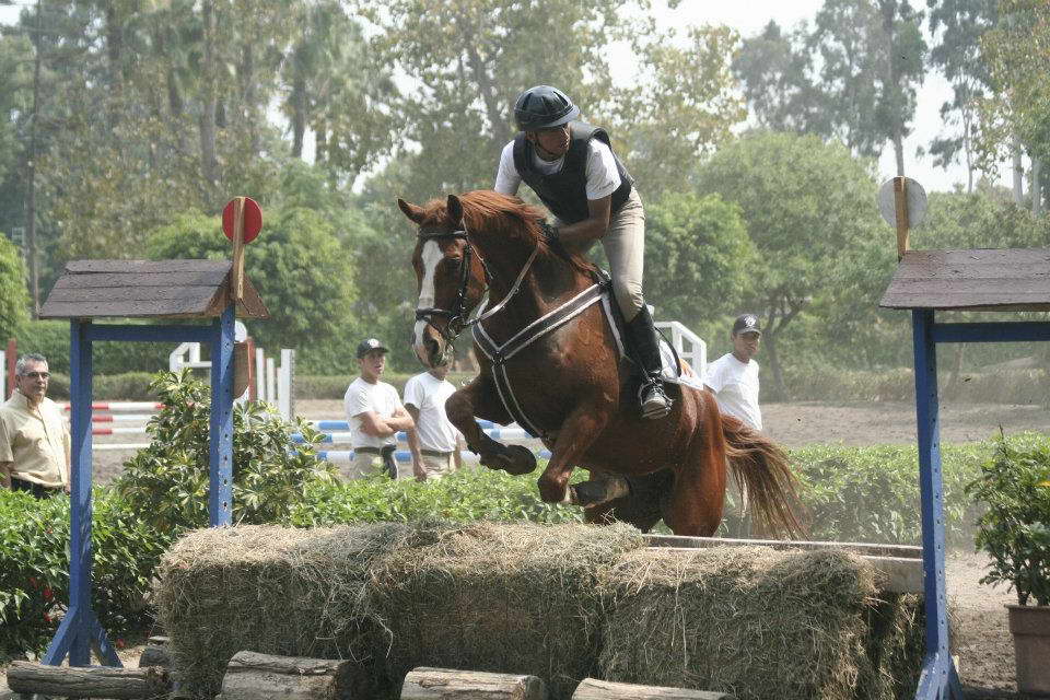 JORGE UGARTE CCE