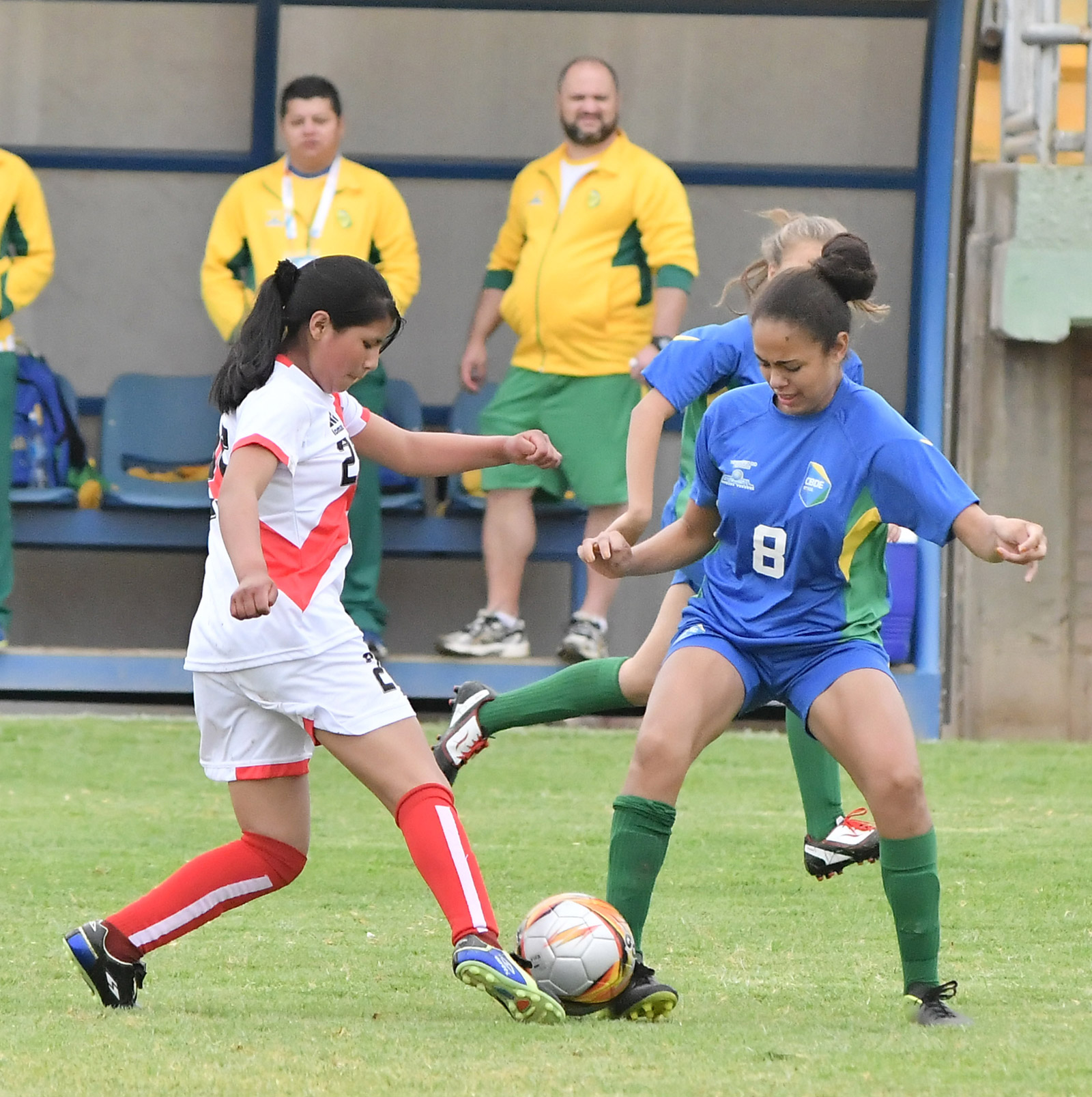 Perú vs Brasil