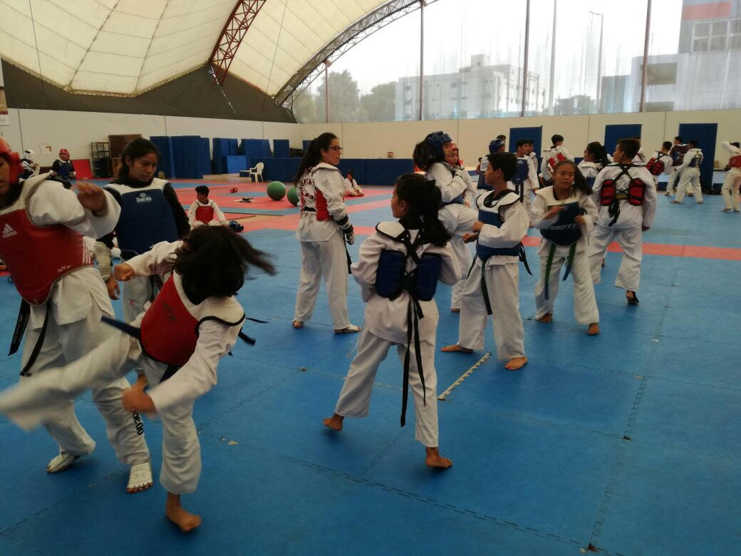 TAEKWONDO 2