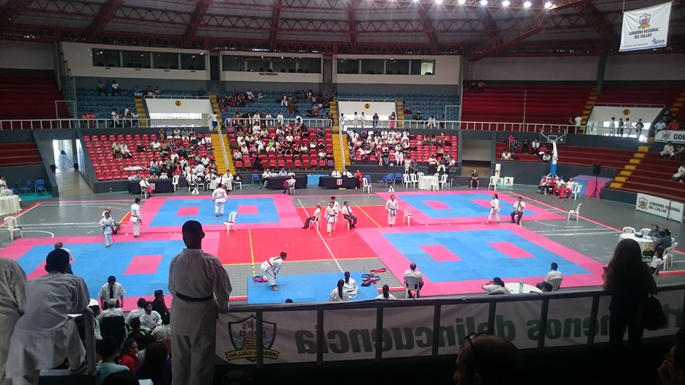 karate miguel grau