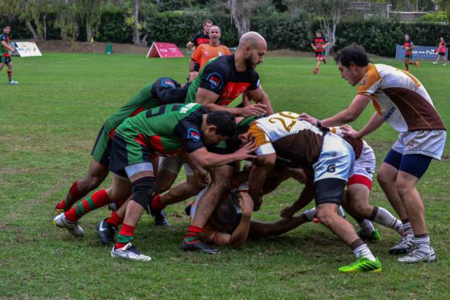metropolitano rugby
