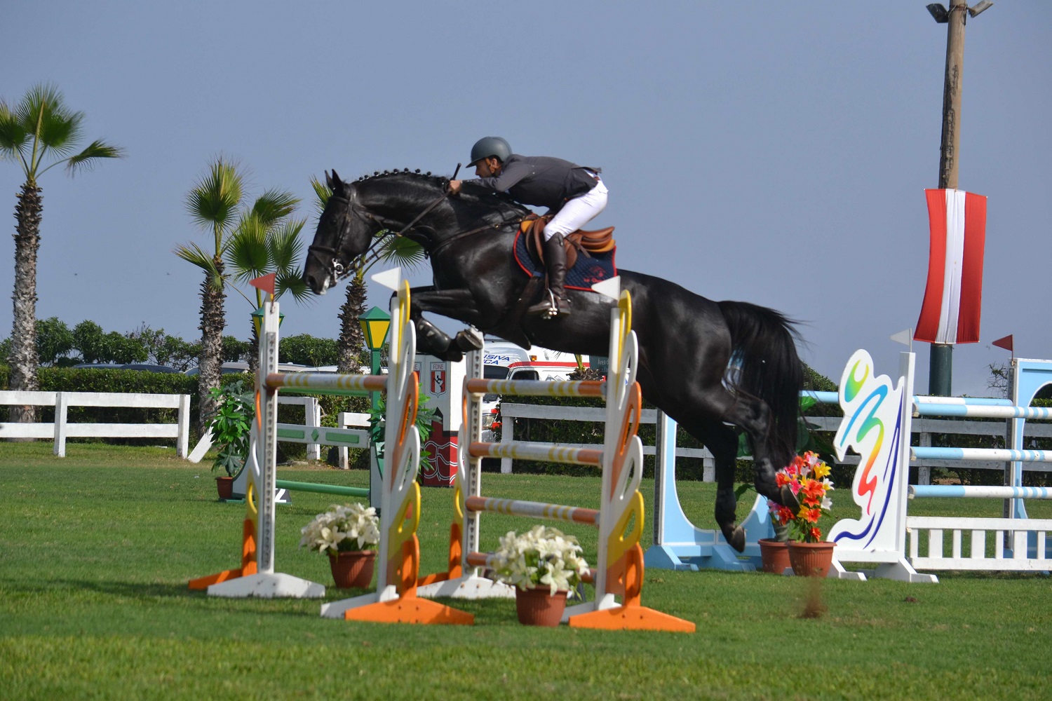 ALONSO VALDEZ C4 CHP