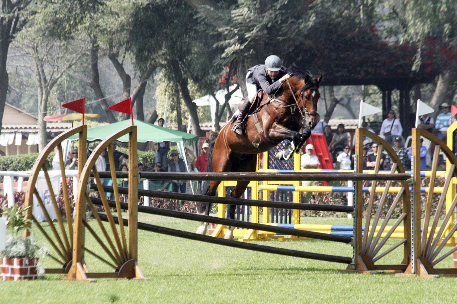 Alonso Valdez 1