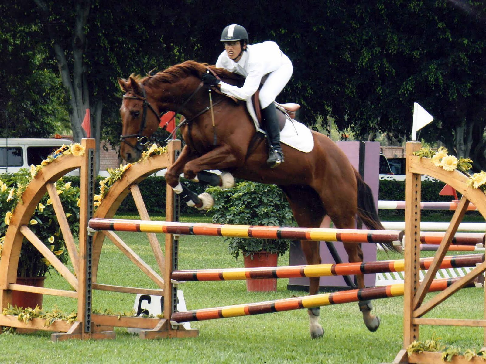 DiegoFarje1