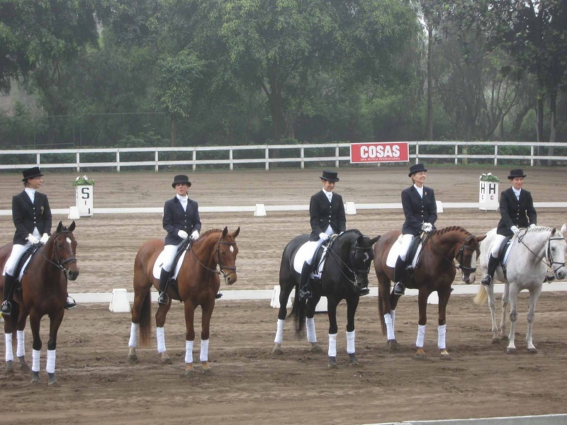 FotoAdiestramiento1 1