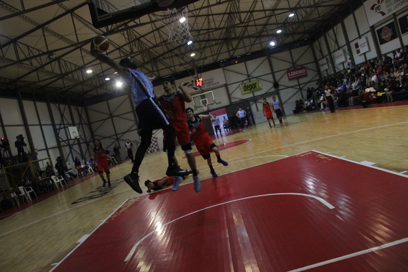 basquet 50