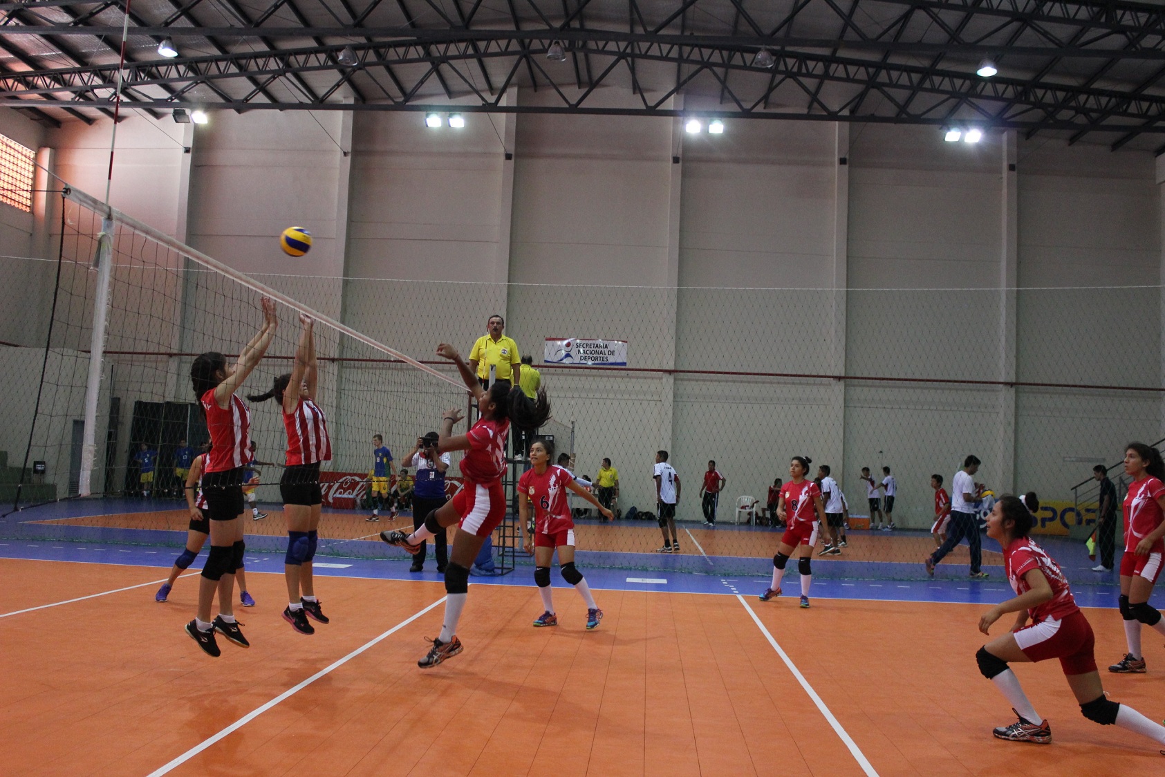 voley 1